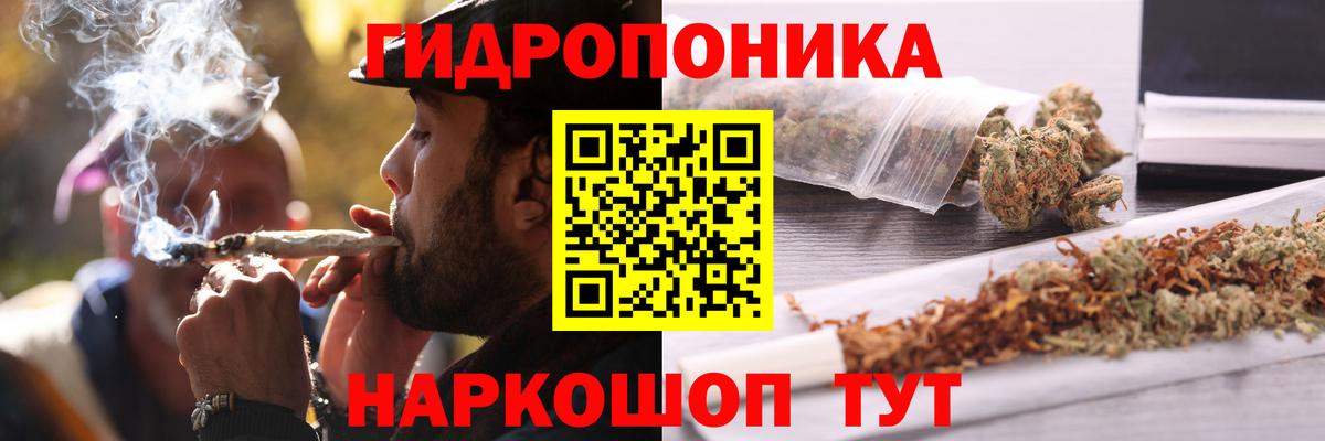 Бошки Шишки сатива Аксай